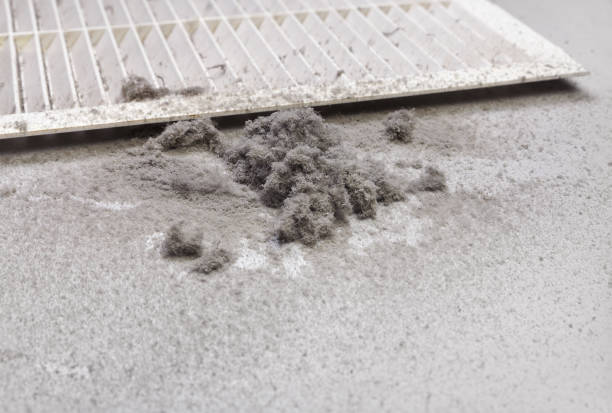 Best Home Air Vent Cleaning  in East Quincy, CA