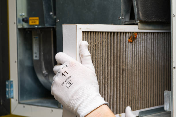 Best Best Air Duct Cleaning Company  in East Quincy, CA